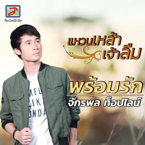 Listen to แหวนเหล้าเจ้าลืม song with lyrics from พร้อมรัก จักรพล ท็อปไลน์