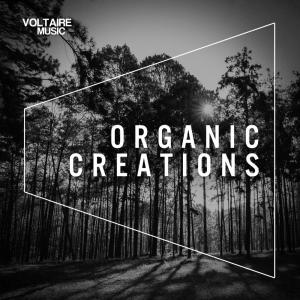 Listen to Frequency song with lyrics from Mendo