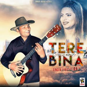 Listen to Tere Bina song with lyrics from Raj