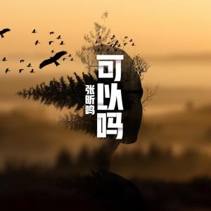 Listen to 可以吗 song with lyrics from 张昕鸣
