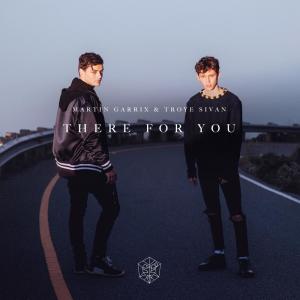 ๆถ่ฝMartin Garrix็There for Youๆญ่ฉๆญๆฒ