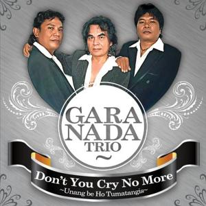 Dengarkan Don't You Cry No More lagu dari GARANADA TRIO dengan lirik