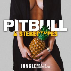 ดาวน์โหลดและฟังเพลง Jungle พร้อมเนื้อเพลงจาก Pitbull