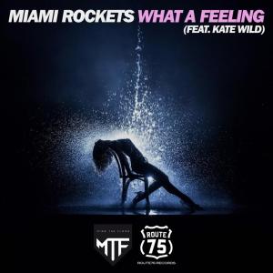 อัลบัม What a Feeling ศิลปิน Miami Rockets