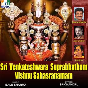 Album Sri Venkateshwara Suprabhatham Vishnu Sahasranamam from Balu Sharma