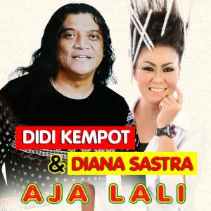 收聽Didi Kempot的Aja Lali歌詞歌曲