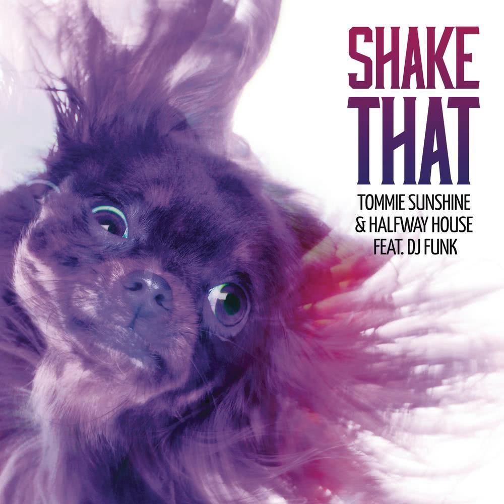 Shake That (Radio Edit)