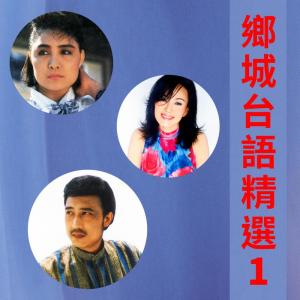 華語羣星的專輯鄉城臺語精選, Vol. 1