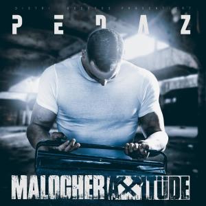 Listen to Ruhrpott Asozial (Explicit) song with lyrics from Pedaz