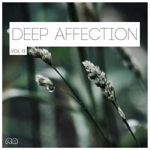 Album Deep Affection, Vol. 13 from Various