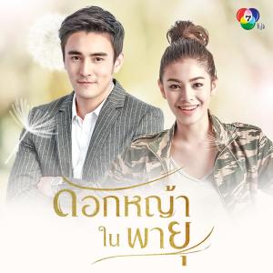 อัลบัม เพลงประกอบละครดอกหญ้าในพายุ ศิลปิน กบ ทรงสิทธิ์ รุ่งนพคุณศรี