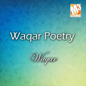 收聽Waqar的Chalte Chalte歌詞歌曲