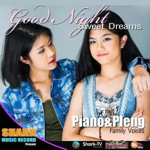 Piano的专辑Goodnight Sweetdream