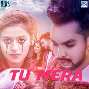 Listen to Tu Mera song with lyrics from Jass Sampla