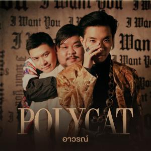 Dengarkan อาวรณ์ lagu dari Polycat dengan lirik