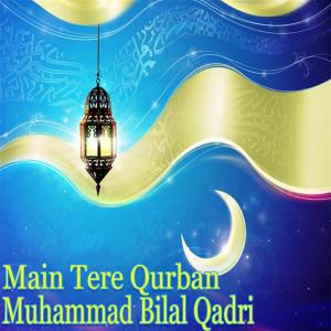Listen to Dai Haleema Aakhy song with lyrics from Muhammad Bilal Qadri