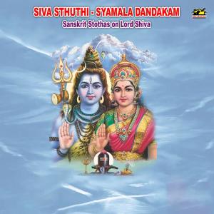ดาวน์โหลดและฟังเพลง Om Namssivaya พร้อมเนื้อเพลงจาก Pandits