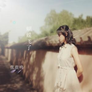 Album 蝴蝶飞了 from 张鹿鸣