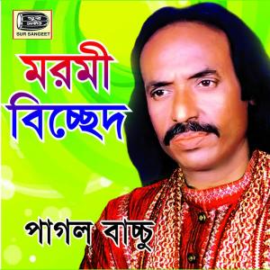 Dengarkan Ami Valobashi Mon lagu dari Pagol Bacchu dengan lirik