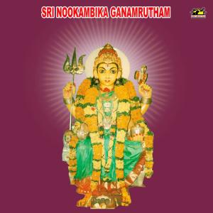 收聽V. V. Naidu的Ammavamma Sakthivamma歌詞歌曲