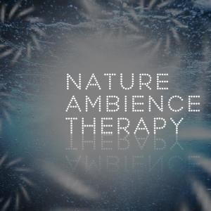 อัลบัม Nature Ambience Therapy ศิลปิน Nature Sounds Therapy