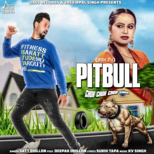 Listen to Pitbull song with lyrics from Satt Dhillon