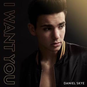 อัลบัม I Want You ศิลปิน Daniel Skye