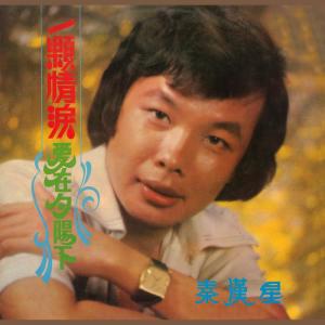 收聽秦漢星的兒女情長歌詞歌曲