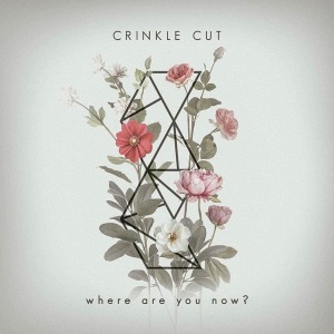 Dengarkan Where Are You Now? lagu dari Crinkle Cut dengan lirik