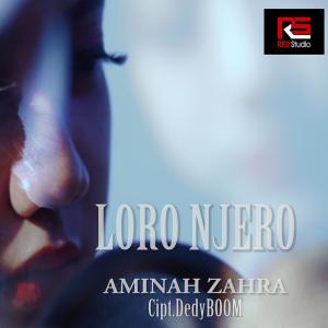 Listen to Loro Njero song with lyrics from Aminah Zahra