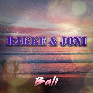 Dengarkan lagu Hawk Remix nyanyian Bakke dengan lirik