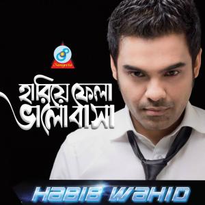 Listen to Hariye Fela Bhalobasha song with lyrics from Habib Wahid