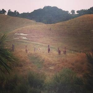 ดาวน์โหลดและฟังเพลง Star Wars พร้อมเนื้อเพลงจาก Black Science