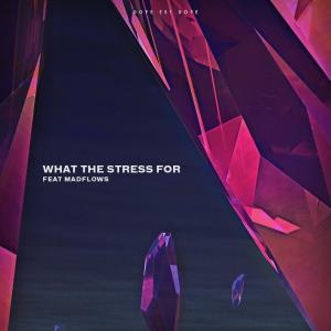ดาวน์โหลดและฟังเพลง What the Stress For พร้อมเนื้อเพลงจาก D**e est D**e