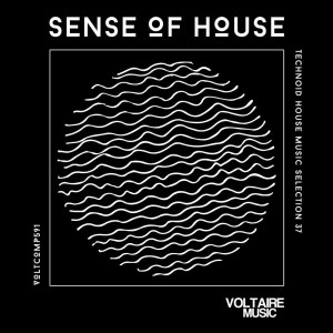 อัลบัม Sense Of House, Vol. 37 ศิลปิน Various Artists