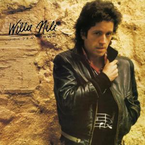 ดาวน์โหลดและฟังเพลง Les Champs Élysées พร้อมเนื้อเพลงจาก Willie Nile