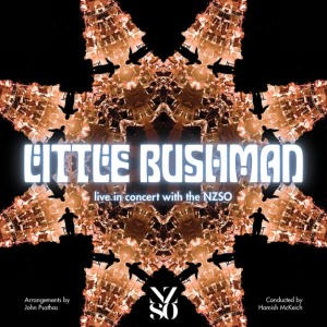ดาวน์โหลดและฟังเพลง Where We Got Born (Live) พร้อมเนื้อเพลงจาก Little Bushman