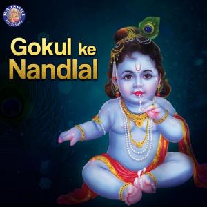 ดาวน์โหลดและฟังเพลง Krishna Ashtakam พร้อมเนื้อเพลงจาก Rajalakshmee Sanjay