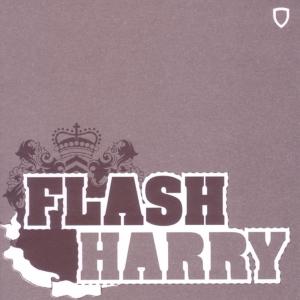 ดาวน์โหลดและฟังเพลง I Love Lo Fi พร้อมเนื้อเพลงจาก Flash Harry