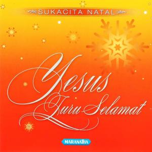 Listen to Selamat Hari Natal Dan Tahun Baru song with lyrics from Various Artists