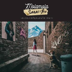 Dengarkan เอเวอเรสต์สุดแสนไฮ (หมา) lagu dari Mola mola Sakai dengan lirik