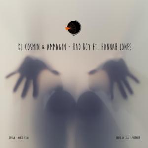 收聽DJ Cosmin的Bad Boy (Ammagin Remix)歌詞歌曲