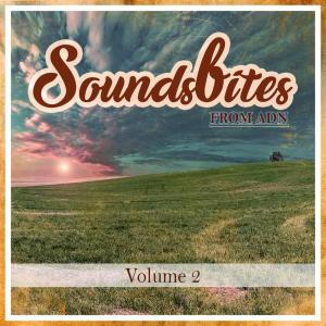 Listen to Clean Living song with lyrics from Various