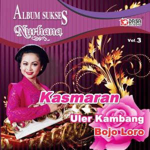 Dengarkan lagu Bojo Loro nyanyian Nurhana dengan lirik