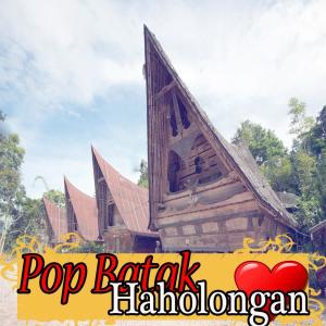 อัลบัม Pop Batak Haholongan ศิลปิน Various Artists