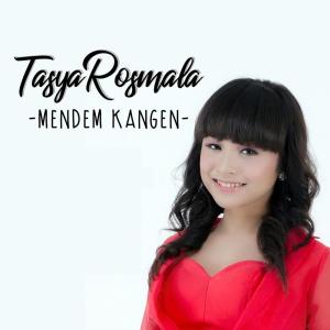 收听Tasya Rosmala的Mendem Kangen歌词歌曲
