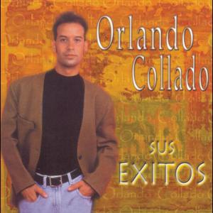 收聽Orlando的Siempre Te Amare (Every Breathe You Take)歌詞歌曲