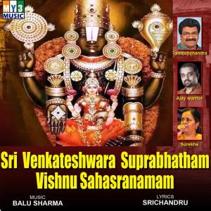 Dengarkan Tirupati Srinivasa Sri Venkatesha lagu dari Ajay Warrior dengan lirik