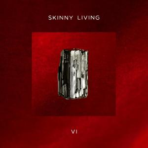 Skinny Living的專輯6