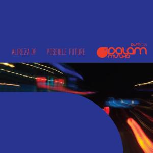 Listen to Possible Future song with lyrics from AlirezA dp